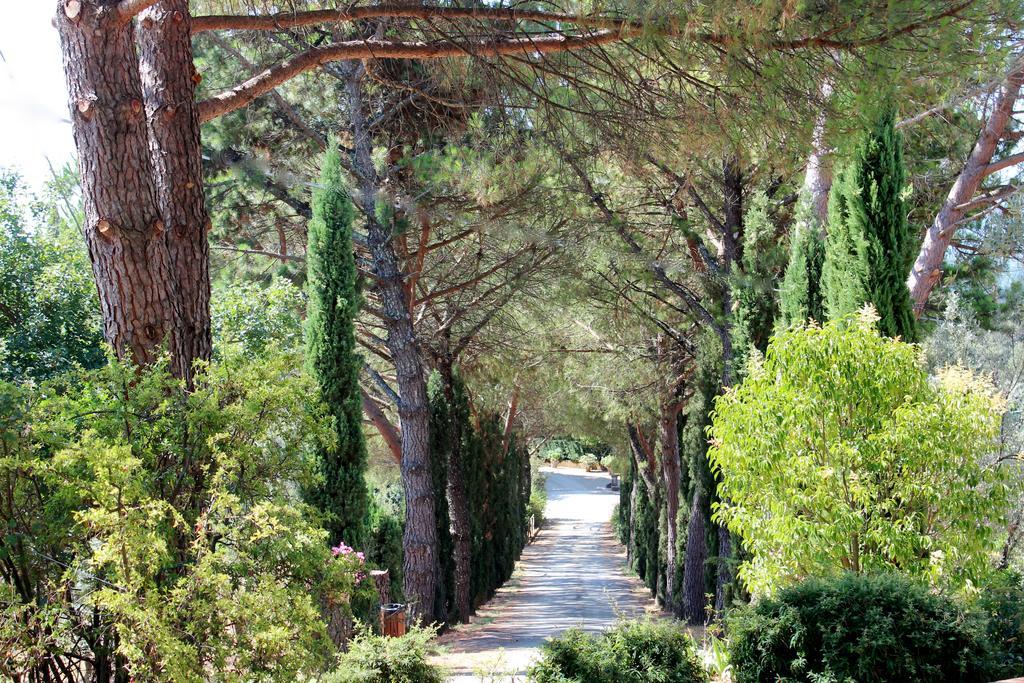 Agriturismo Antico Borgo Poggitazzi ローロ・チュッフェンナ エクステリア 写真