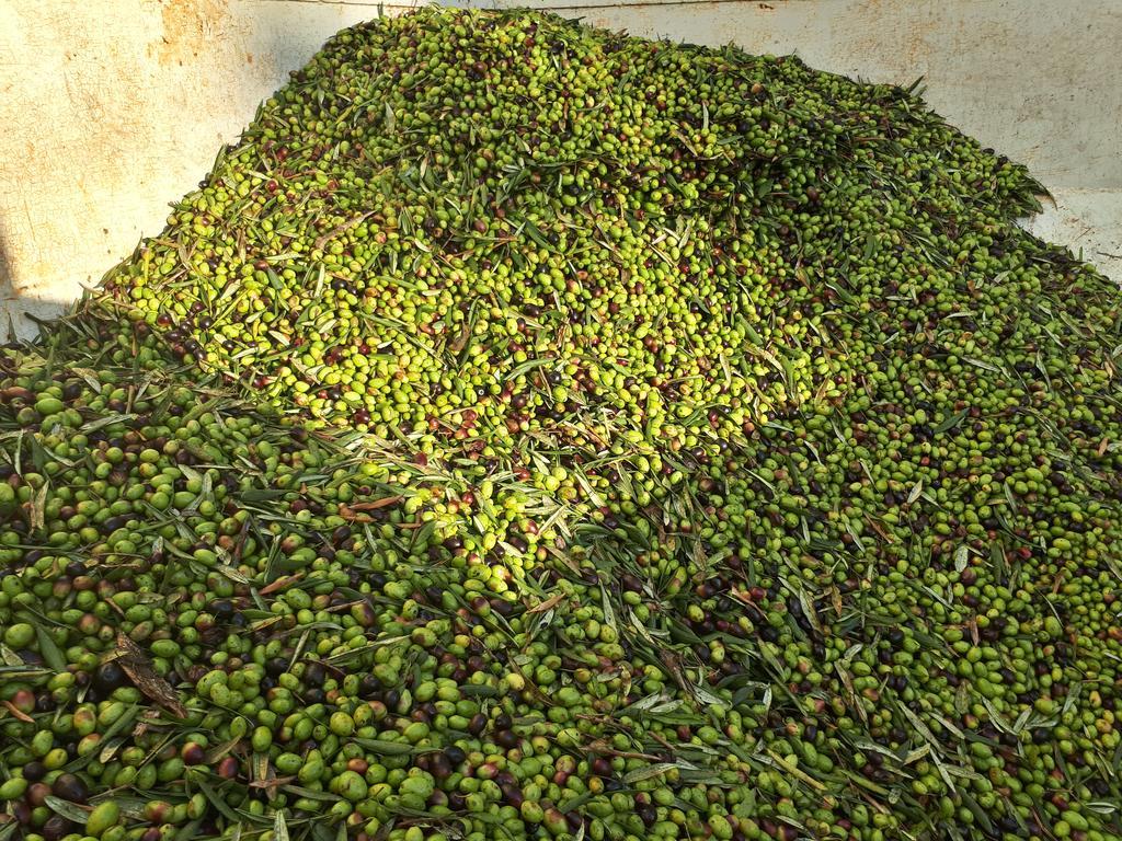 Agriturismo Antico Borgo Poggitazzi ローロ・チュッフェンナ エクステリア 写真